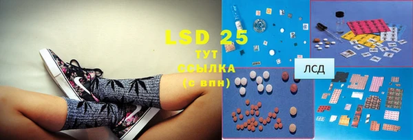 PSILOCYBIN Волосово