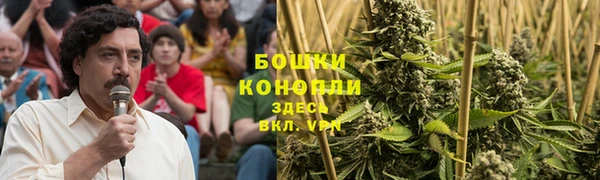 PSILOCYBIN Волосово
