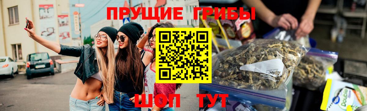 Псилоцибиновые грибы Psilocybine cubensis  Вход с VPN  Заводоуковск 