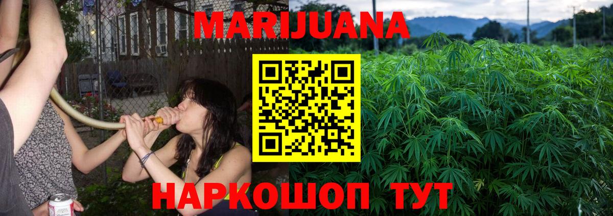 Бошки марихуана Amnesia  Конопля сатива  МАРИХУАНА SATIVA & INDICA  Вход с VPN  Заводоуковск 